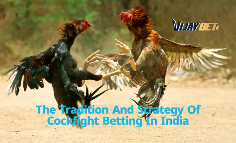 Cockfight In India